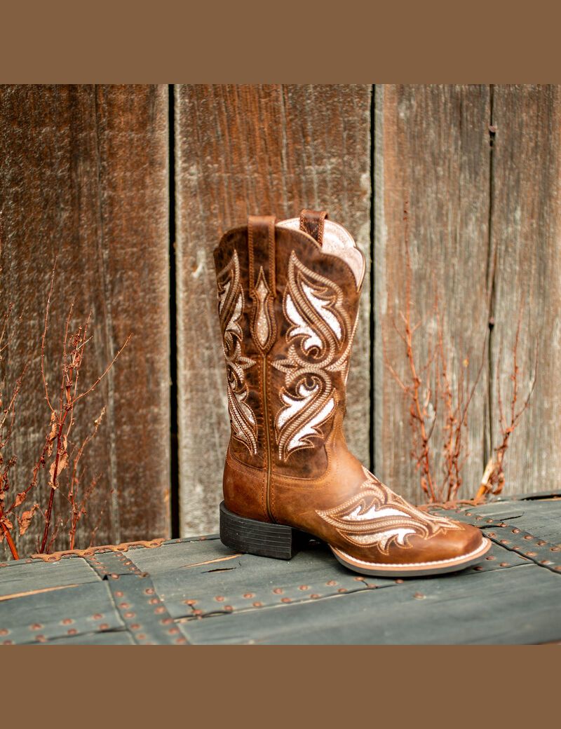 Bottes Western Ariat Round Up Bliss Marron | EDM-2914258