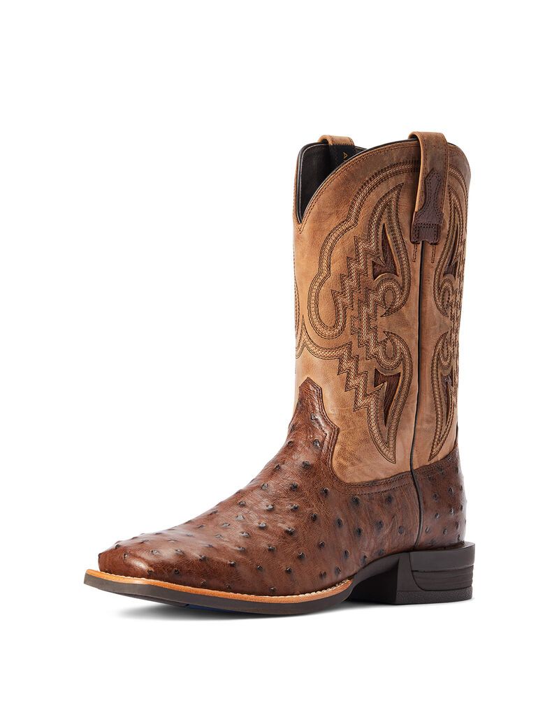 Bottes Western Ariat Dagger Multicolore | YOB-8767871