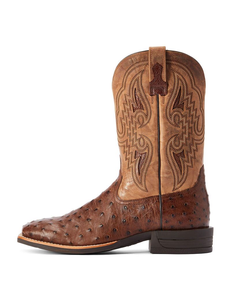 Bottes Western Ariat Dagger Multicolore | YOB-8767871