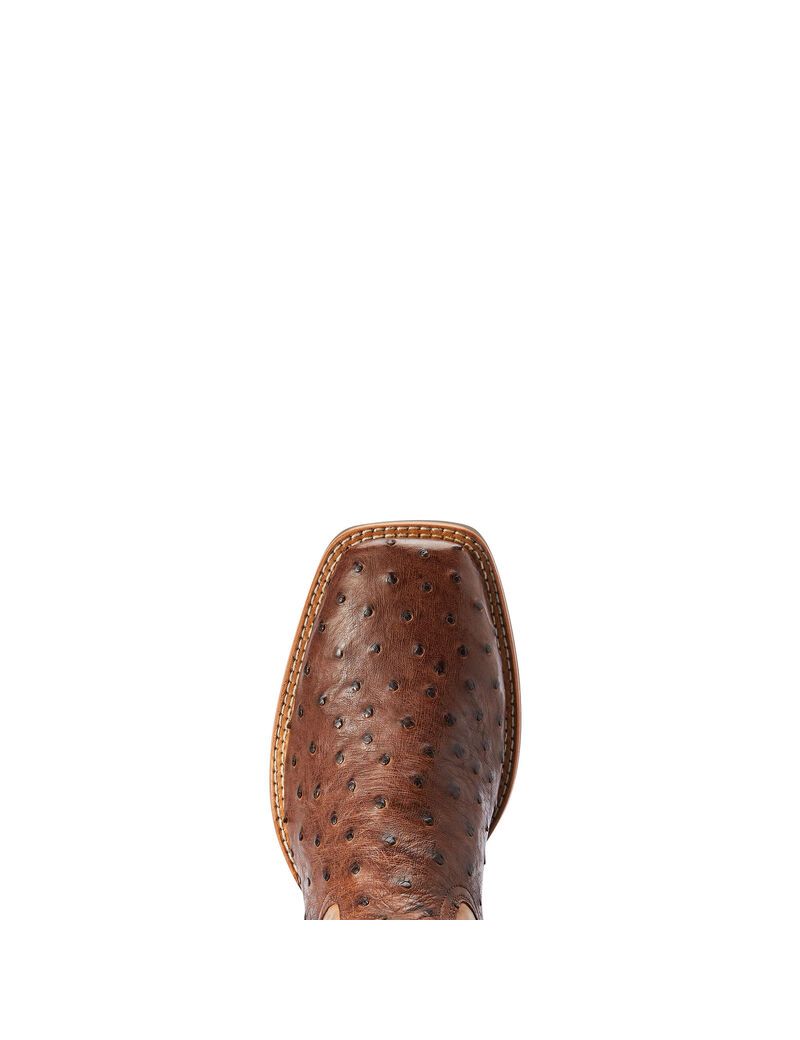 Bottes Western Ariat Dagger Multicolore | YOB-8767871