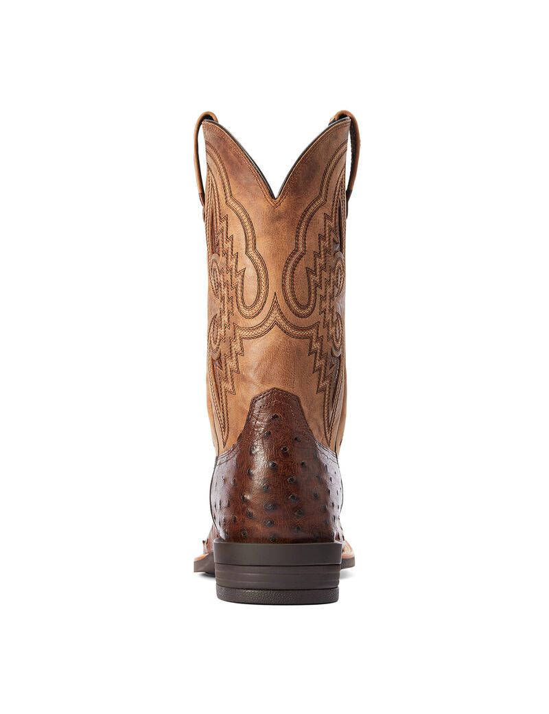 Bottes Western Ariat Dagger Multicolore | YOB-8767871