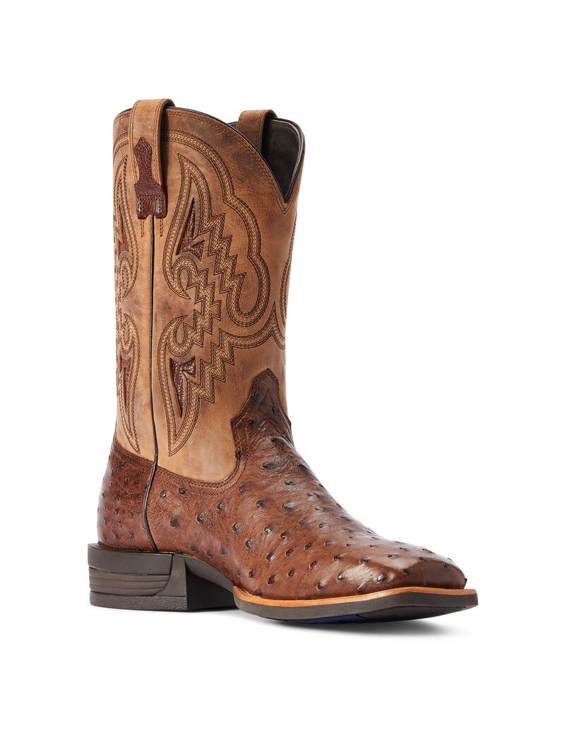 Bottes Western Ariat Dagger Multicolore | YOB-8767871