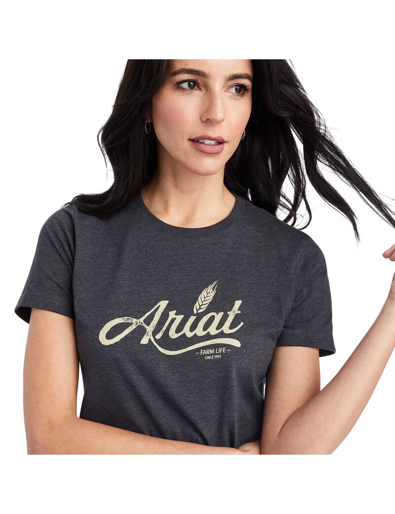 Hauts Ariat Wheat Script Tee Grise | SUW-6034201