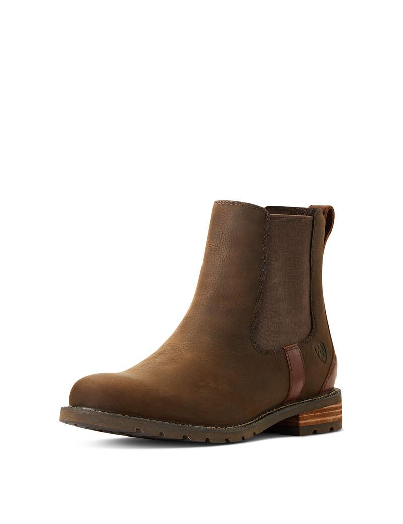 Bottines Ariat Wexford Imperméables Multicolore | NCF-8631515