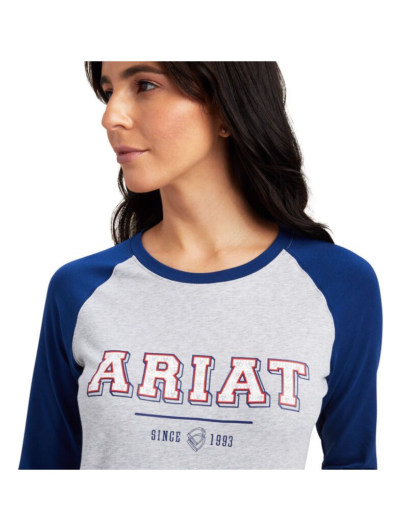 Chemises Ariat Varsity Bleu Grise | FRP-7038554