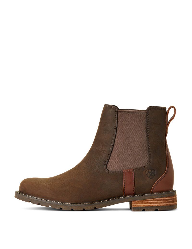 Bottines Ariat Wexford Imperméables Multicolore | NCF-8631515