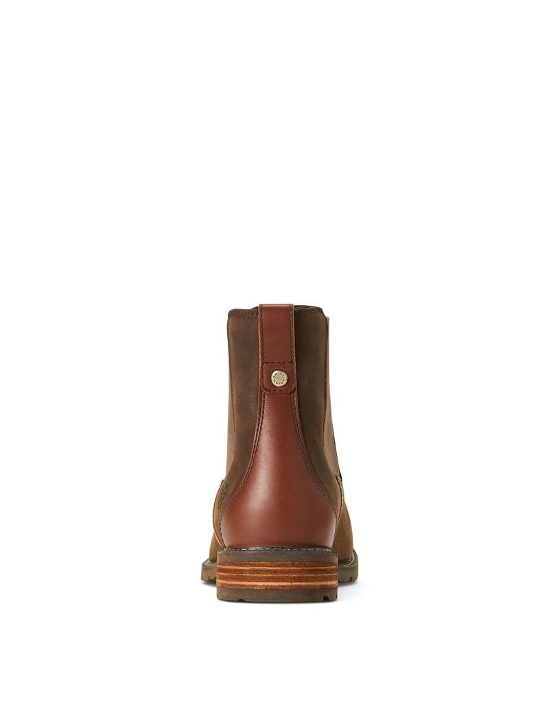 Bottines Ariat Wexford Imperméables Multicolore | NCF-8631515