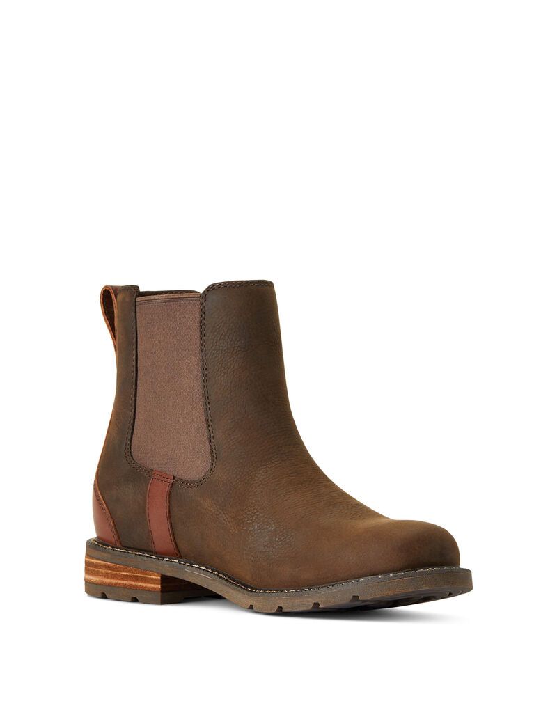 Bottines Ariat Wexford Imperméables Multicolore | NCF-8631515