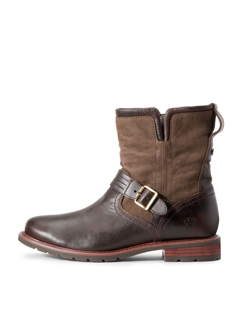 Bottines Ariat Savannah Imperméables Chocolat | OXF-7064511