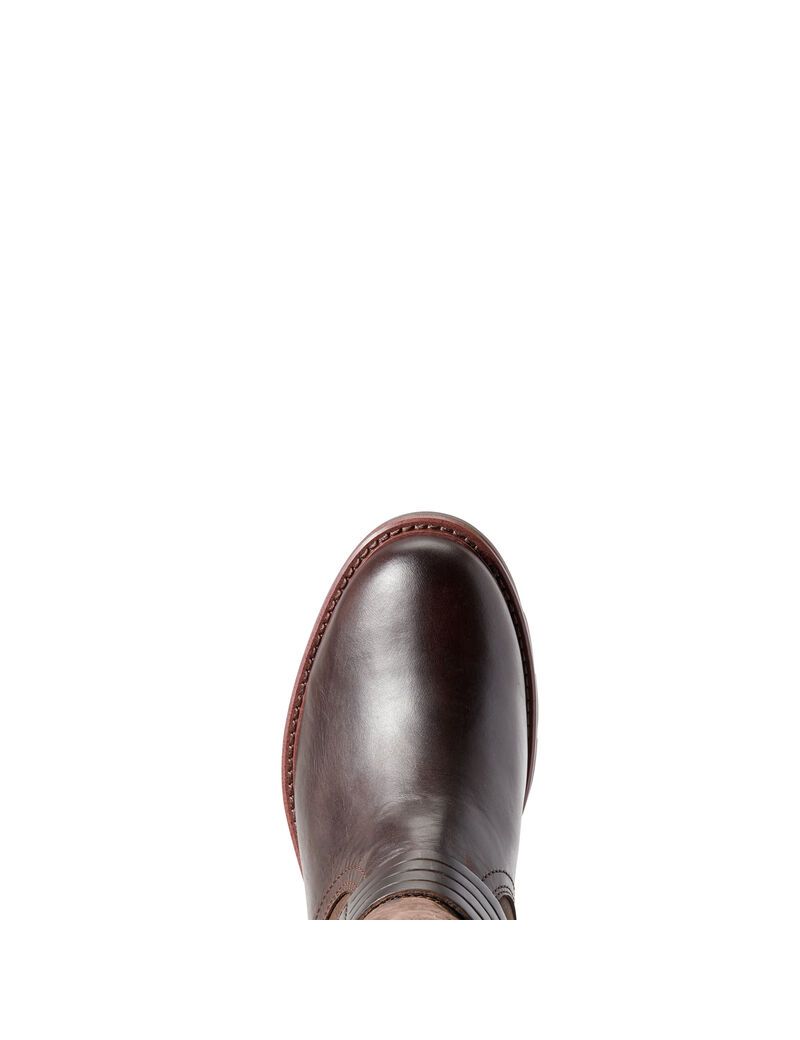 Bottines Ariat Savannah Imperméables Chocolat | OXF-7064511