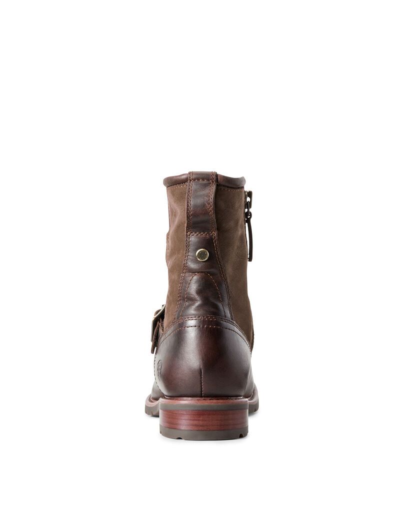 Bottines Ariat Savannah Imperméables Chocolat | OXF-7064511