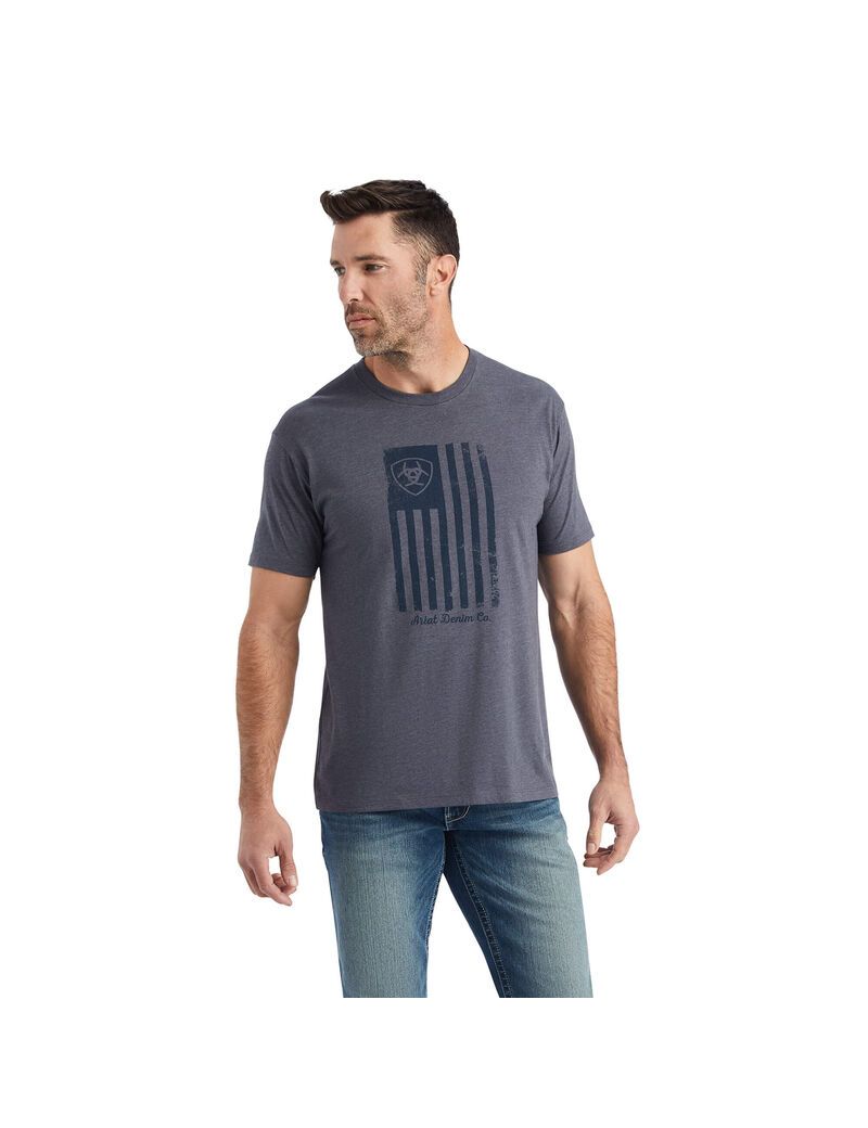 T Shirts Ariat Faded Titane | AFB-6474143