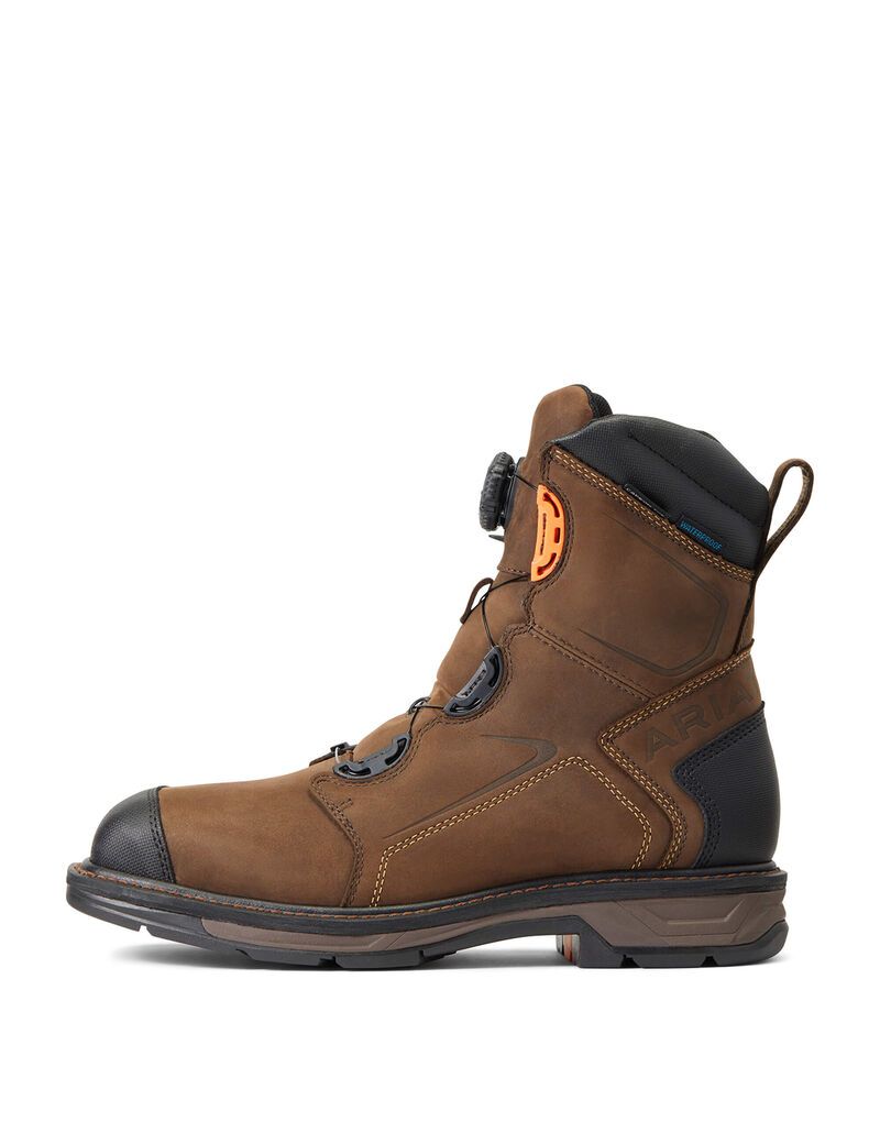 Bottes de Travail Ariat WorkHog XT 8' BOA Imperméables Carbon Embout Chocolat Marron | BET-3623780