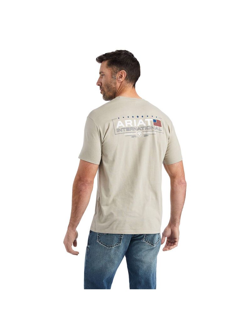 T Shirts Ariat Horizontal Kaki | NUY-3247398