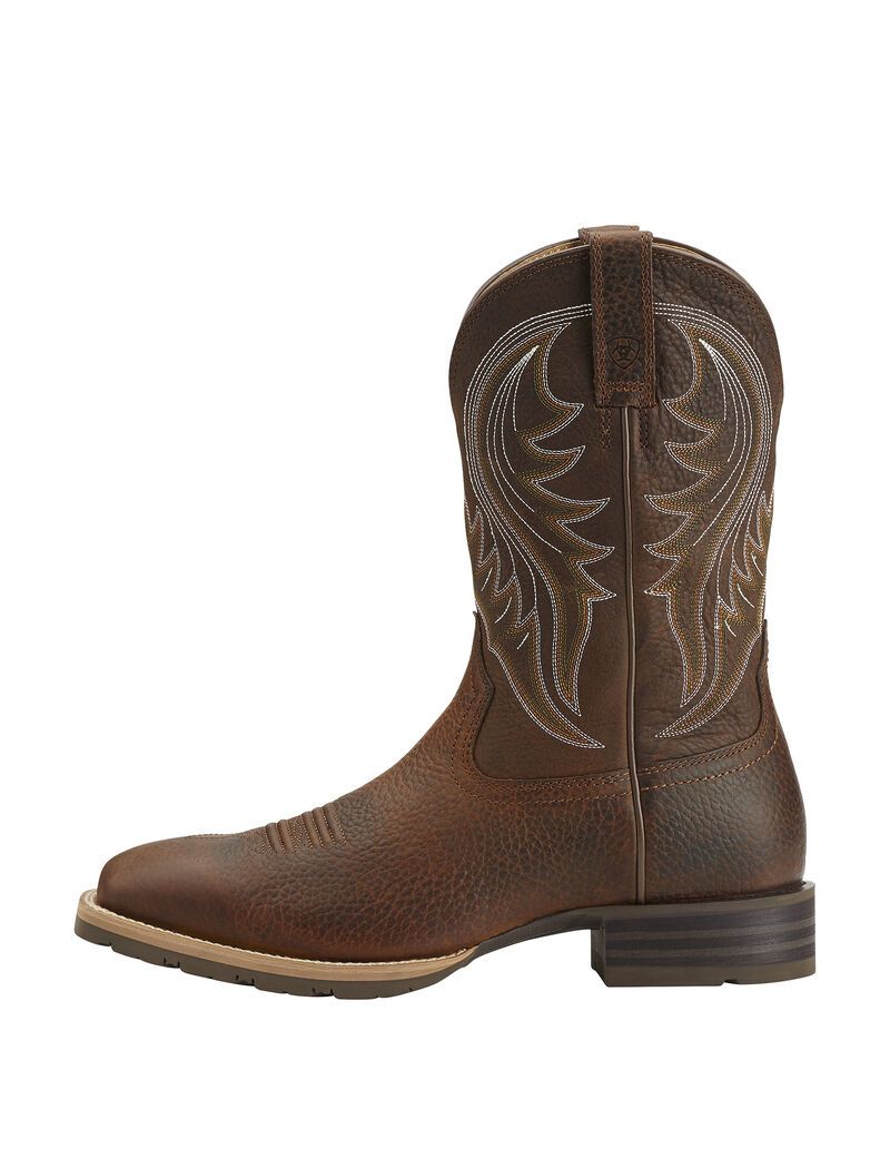 Bottes Western Ariat Hybride Rancher Marron | UVJ-3803521