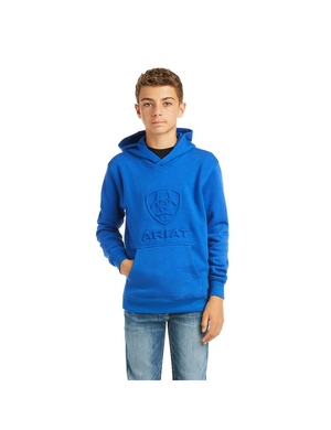 Sweat à Capuche Ariat Basic Sweatshirt Bleu Foncé | ILT-8349892