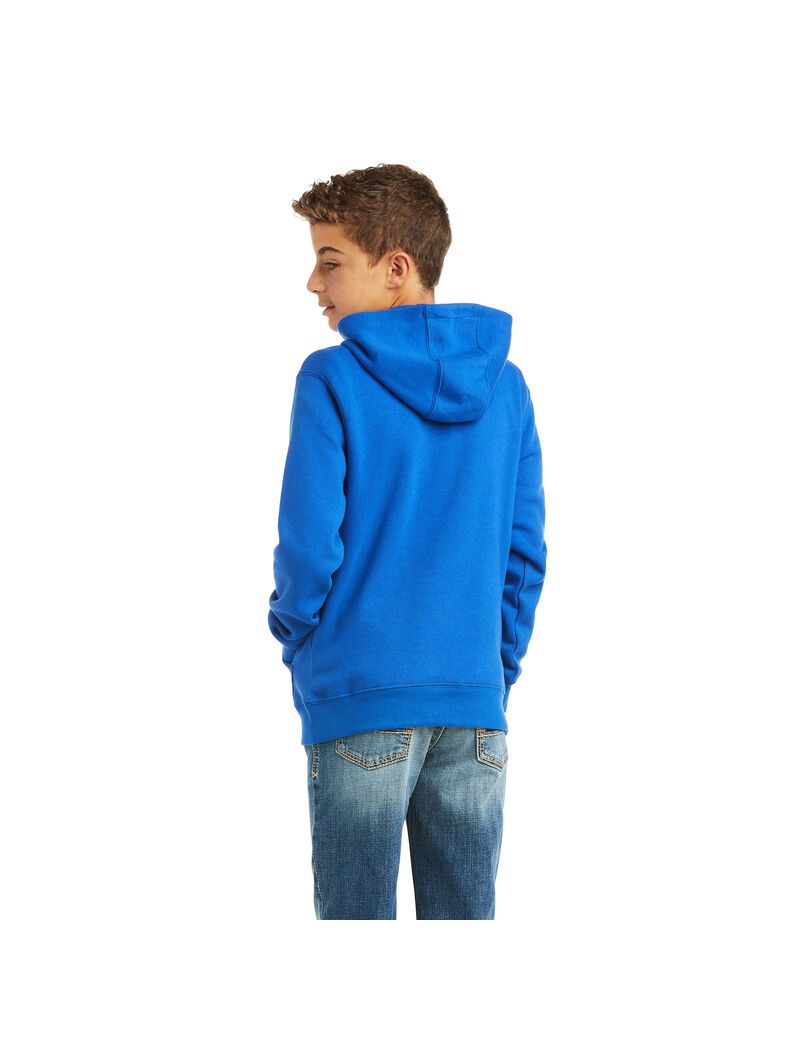 Sweat à Capuche Ariat Basic Sweatshirt Bleu Foncé | ILT-8349892