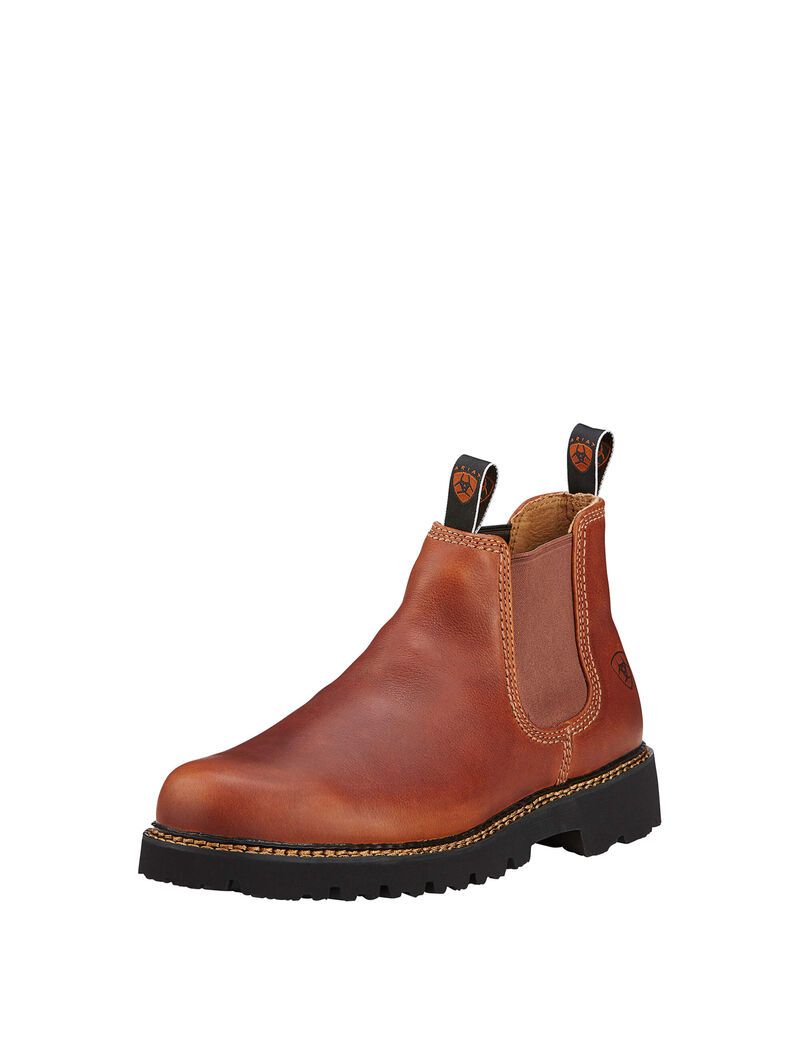 Bottines Chelsea Ariat Spot Hog Multicolore | CPX-4086462