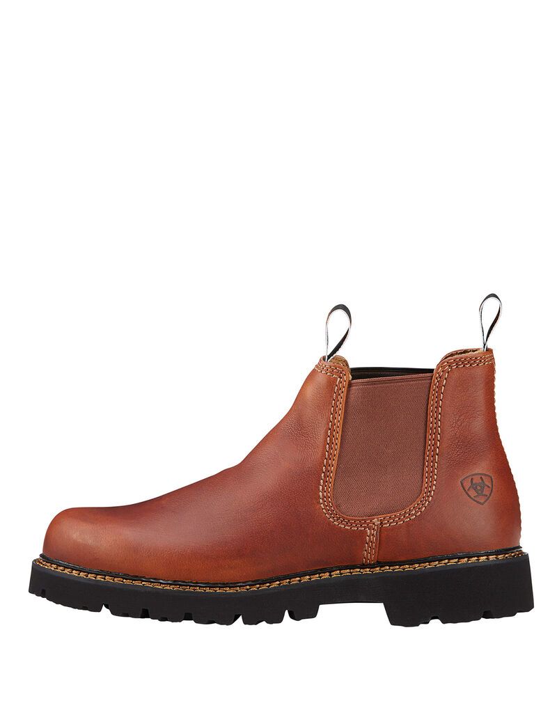 Bottines Chelsea Ariat Spot Hog Multicolore | CPX-4086462