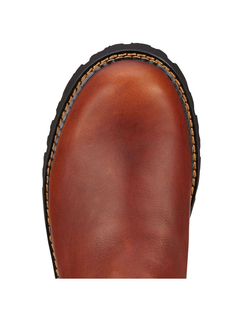 Bottines Chelsea Ariat Spot Hog Multicolore | CPX-4086462