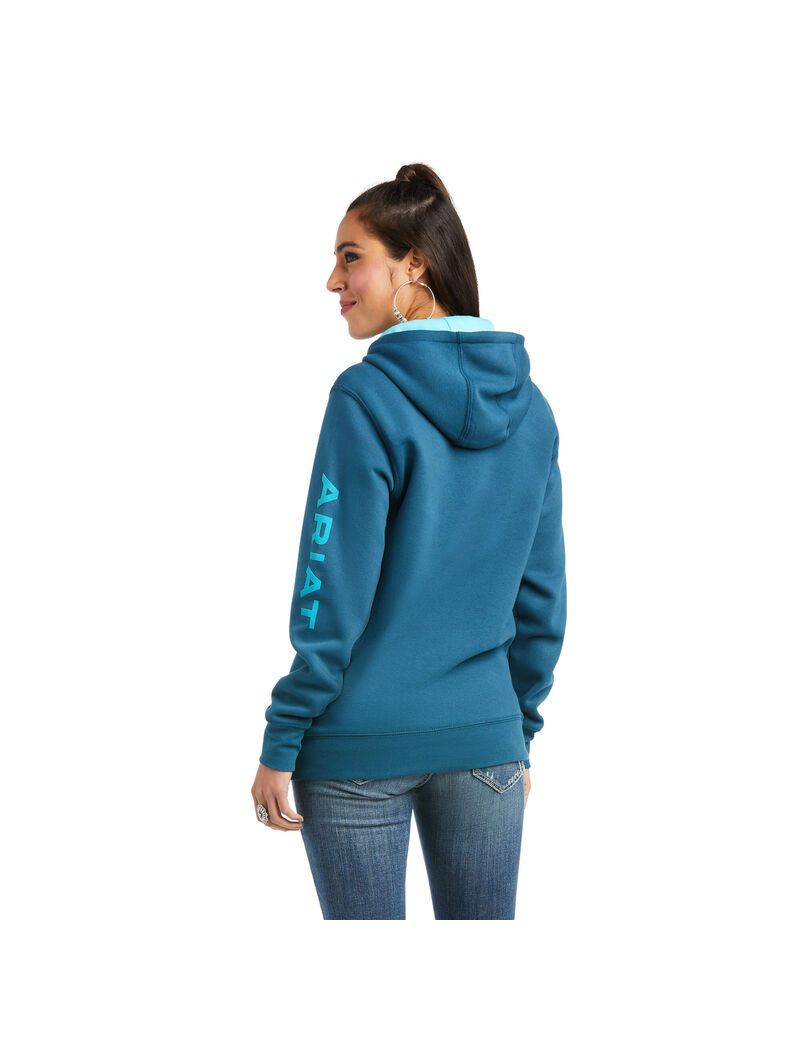 Sweat à Capuche Ariat REAL Arm Logo Multicolore | FUZ-7941237