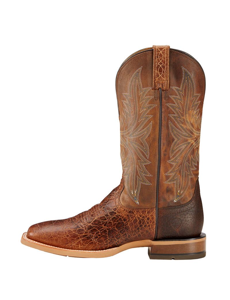 Bottes Western Ariat Cowhand Multicolore | UPL-5705305