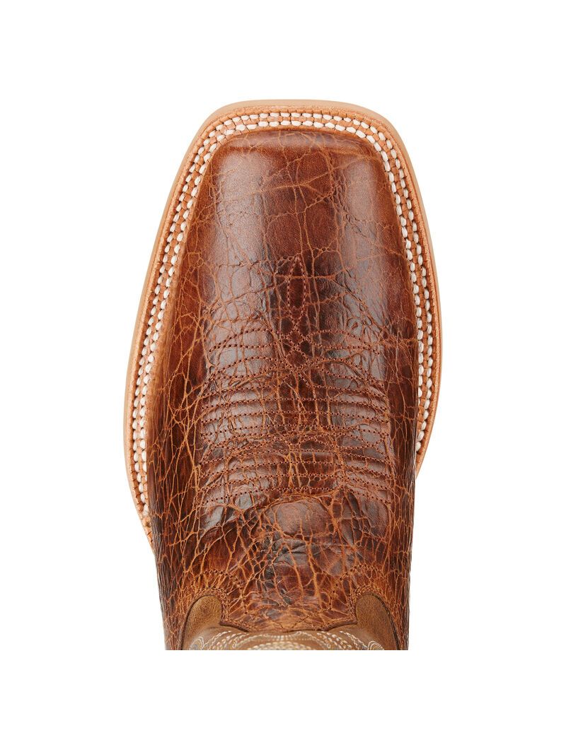 Bottes Western Ariat Cowhand Multicolore | UPL-5705305