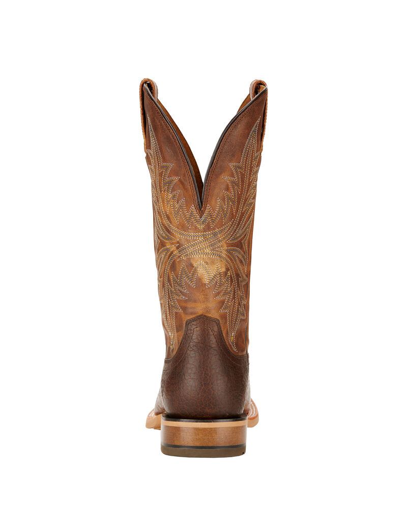 Bottes Western Ariat Cowhand Multicolore | UPL-5705305