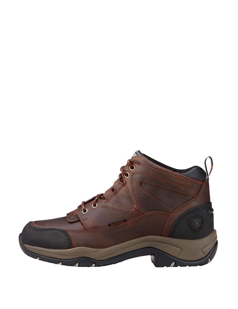 Bottes Randonnée Ariat Terrain Imperméables Cuivre | VEC-7593900