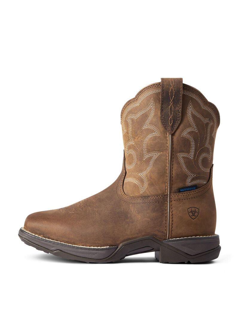 Bottes Imperméables Ariat Anthem Shortie II Western Marron | KGS-6991605