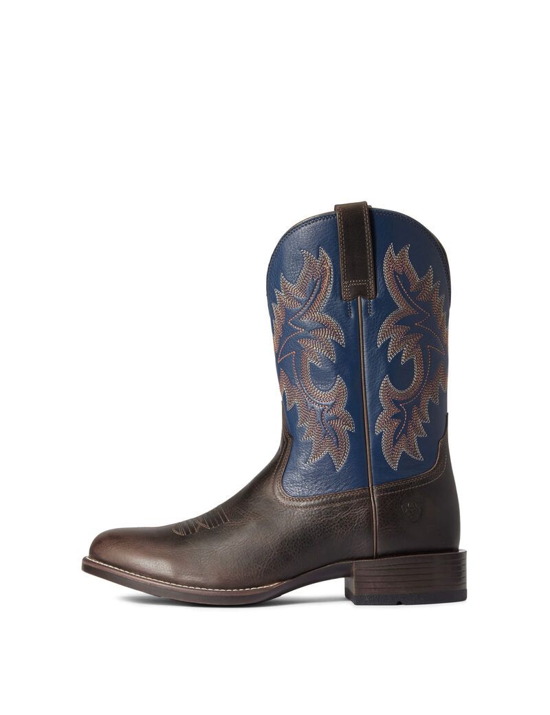 Bottes Western Ariat Stockman Ultra Multicolore | TUN-3853919