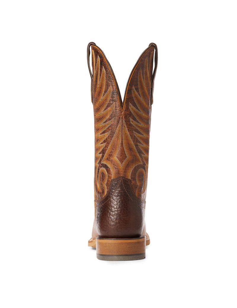 Bottes Western Ariat Toledo Beige | QVZ-3019162