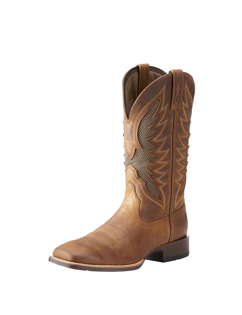 Bottes Western Ariat Venttek Ultra Marron | HQX-4709642