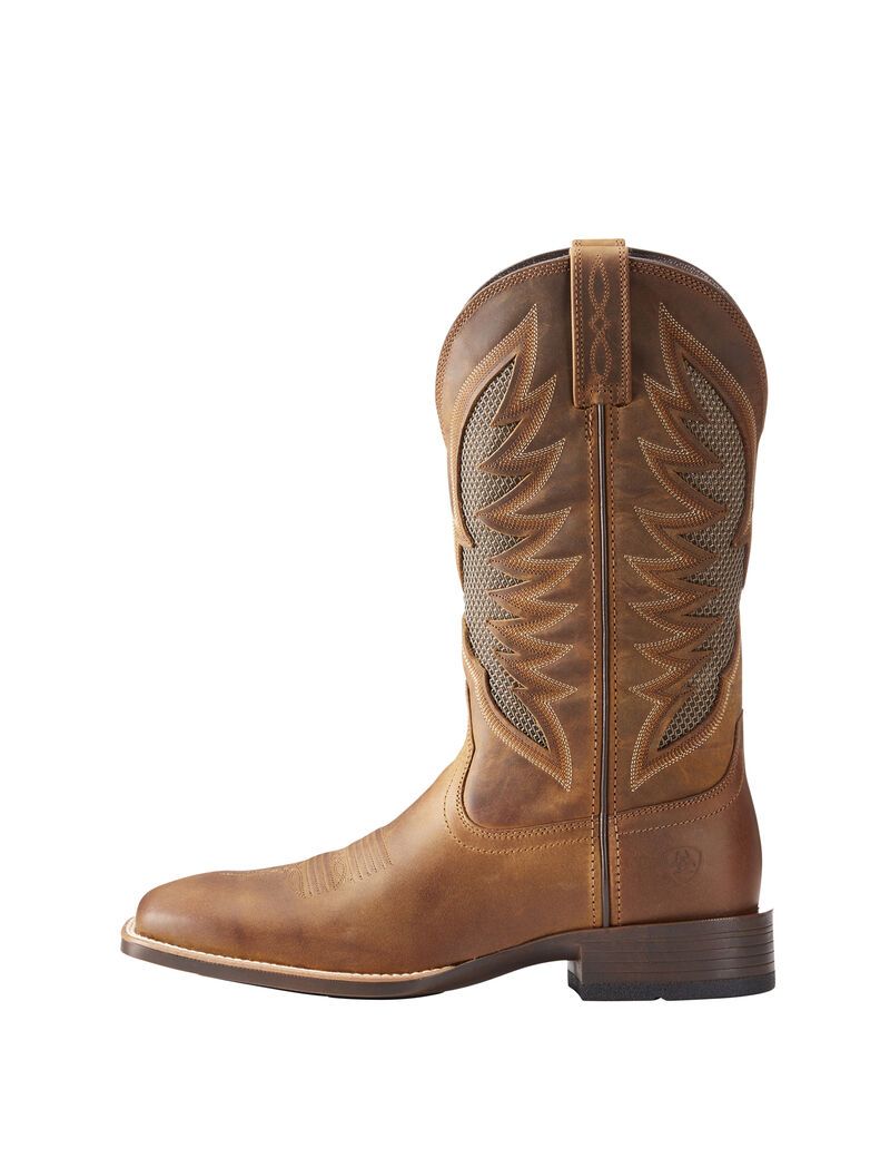 Bottes Western Ariat Venttek Ultra Marron | HQX-4709642