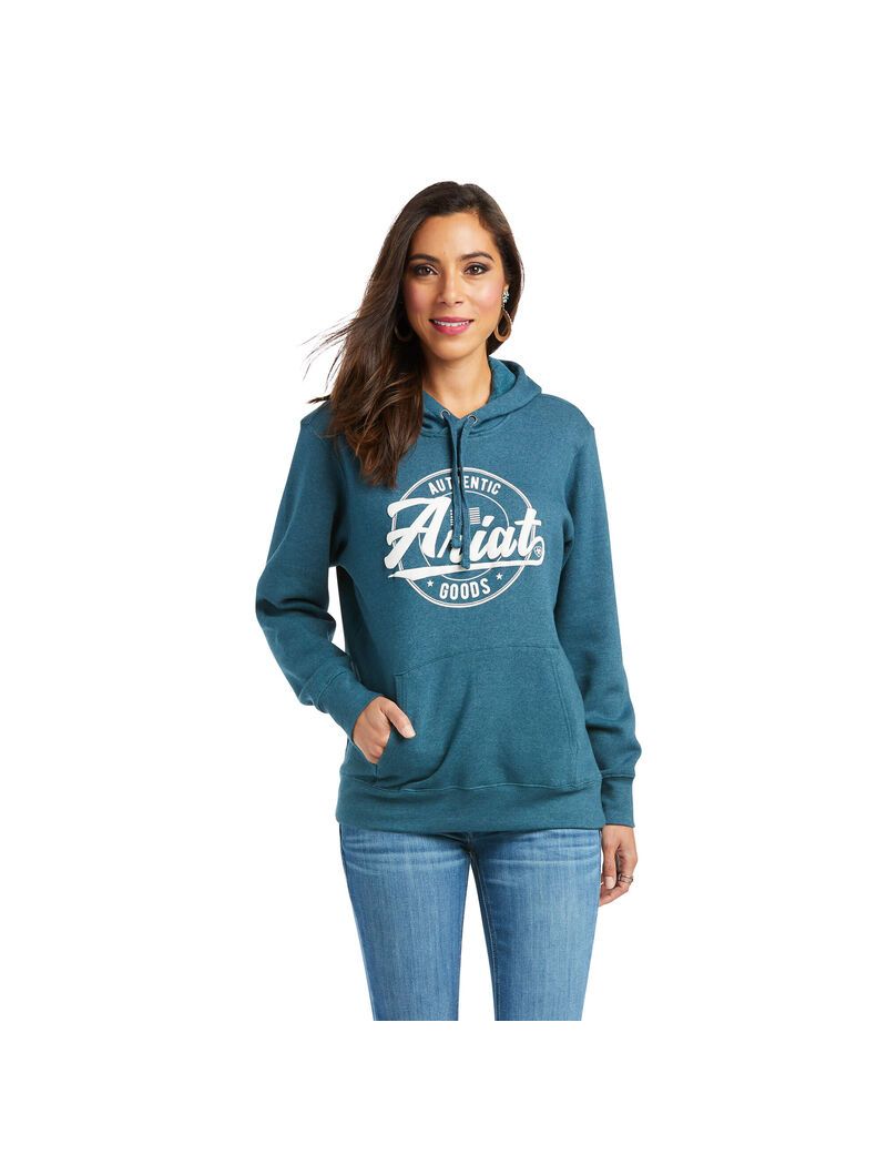 Sweat à Capuche Ariat REAL Arm Logo Turquoise | DMF-7633890