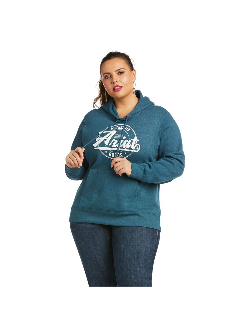 Sweat à Capuche Ariat REAL Arm Logo Turquoise | DMF-7633890