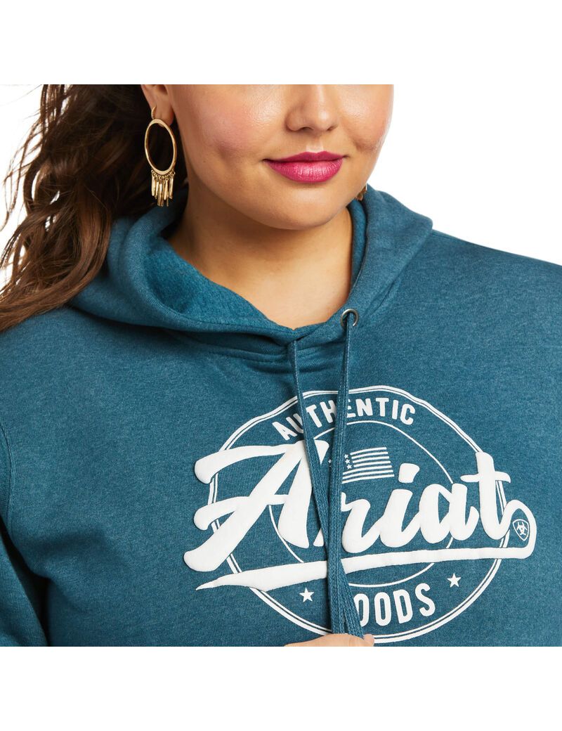 Sweat à Capuche Ariat REAL Arm Logo Turquoise | DMF-7633890