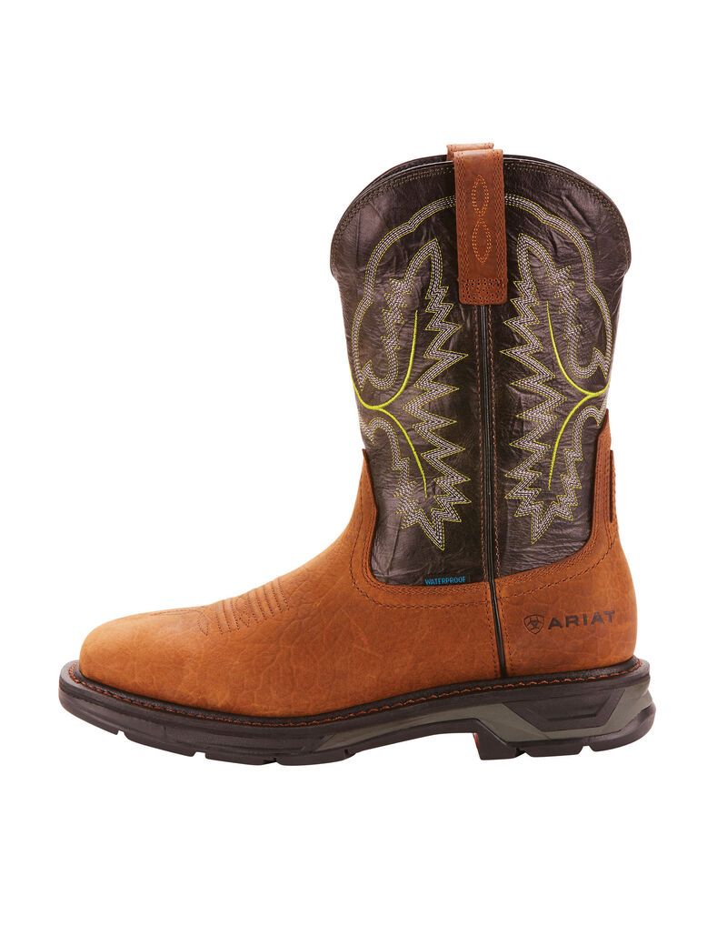 Bottes Imperméables Ariat WorkHog XT Travail Multicolore | PFS-4653789