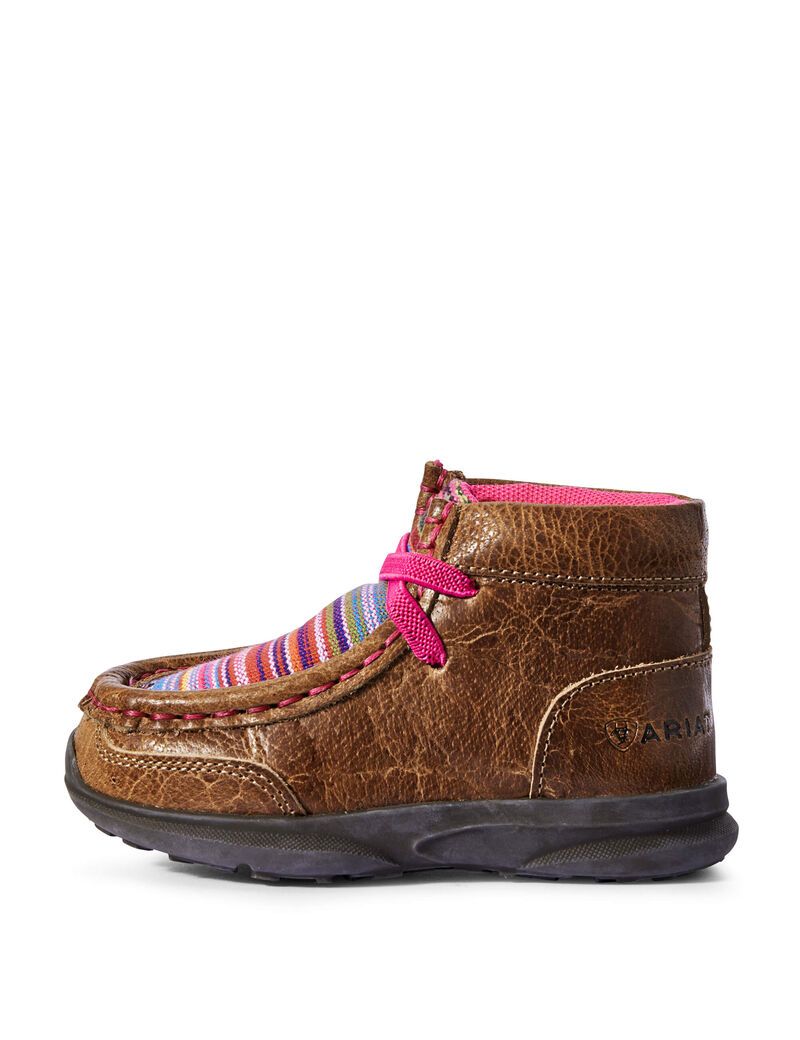 Chaussures Casual Ariat Toddler Lil' Stompers Aurora Spitfire Marron | LKW-4722974