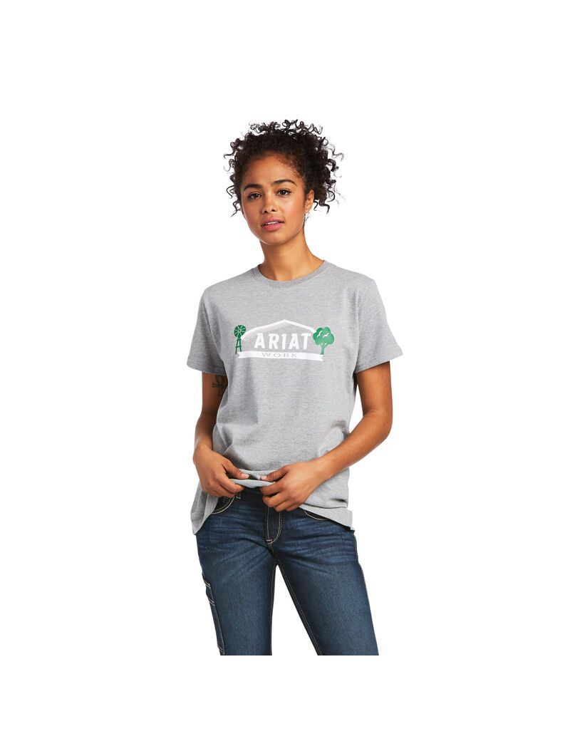 Vêtements De Travail Ariat Rebar Coton Strong Farm Graphique T Shirts Grise | KEZ-4026661