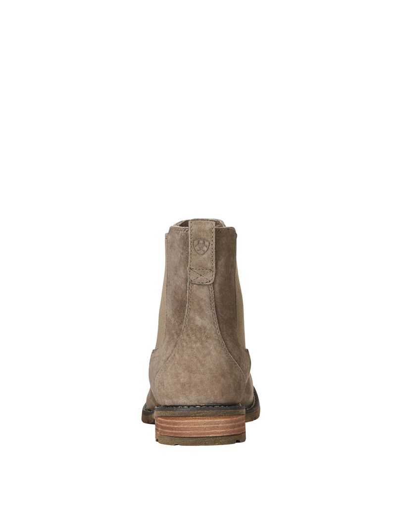 Bottines Ariat Wexford Imperméables Grise Marron | JNQ-6367753