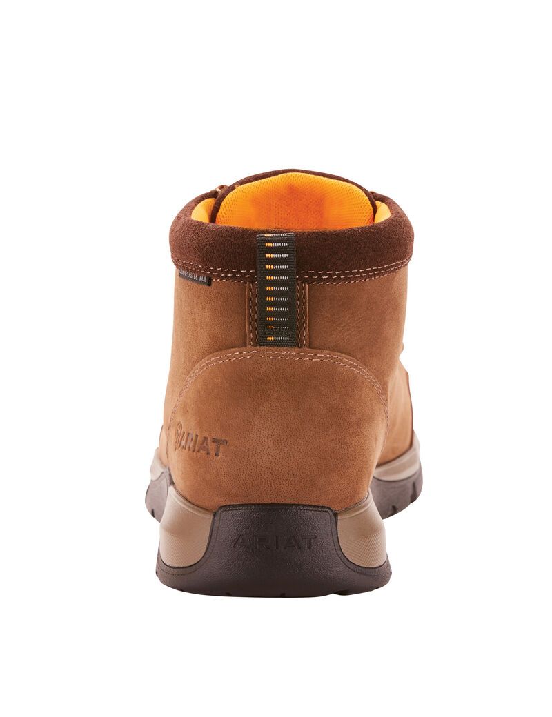 Bottes de Travail Ariat Edge LTE Moc Composite Embout Marron Foncé | QVC-1637224