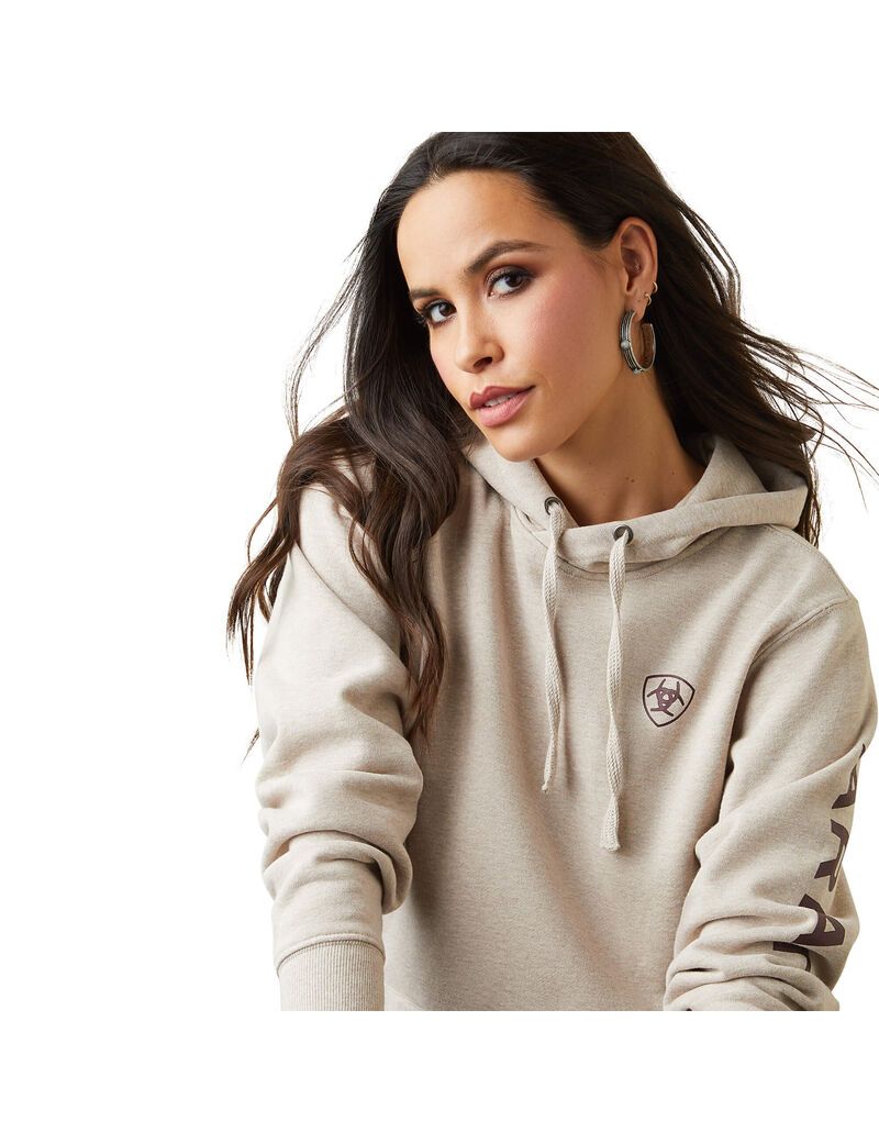 Sweat à Capuche Ariat Logo Beige | ZVA-5269315