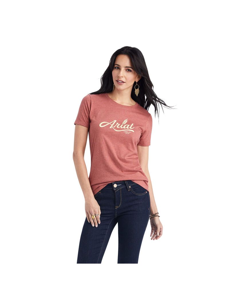 Hauts Ariat Wheat Script Tee Rouge | GNA-3943851