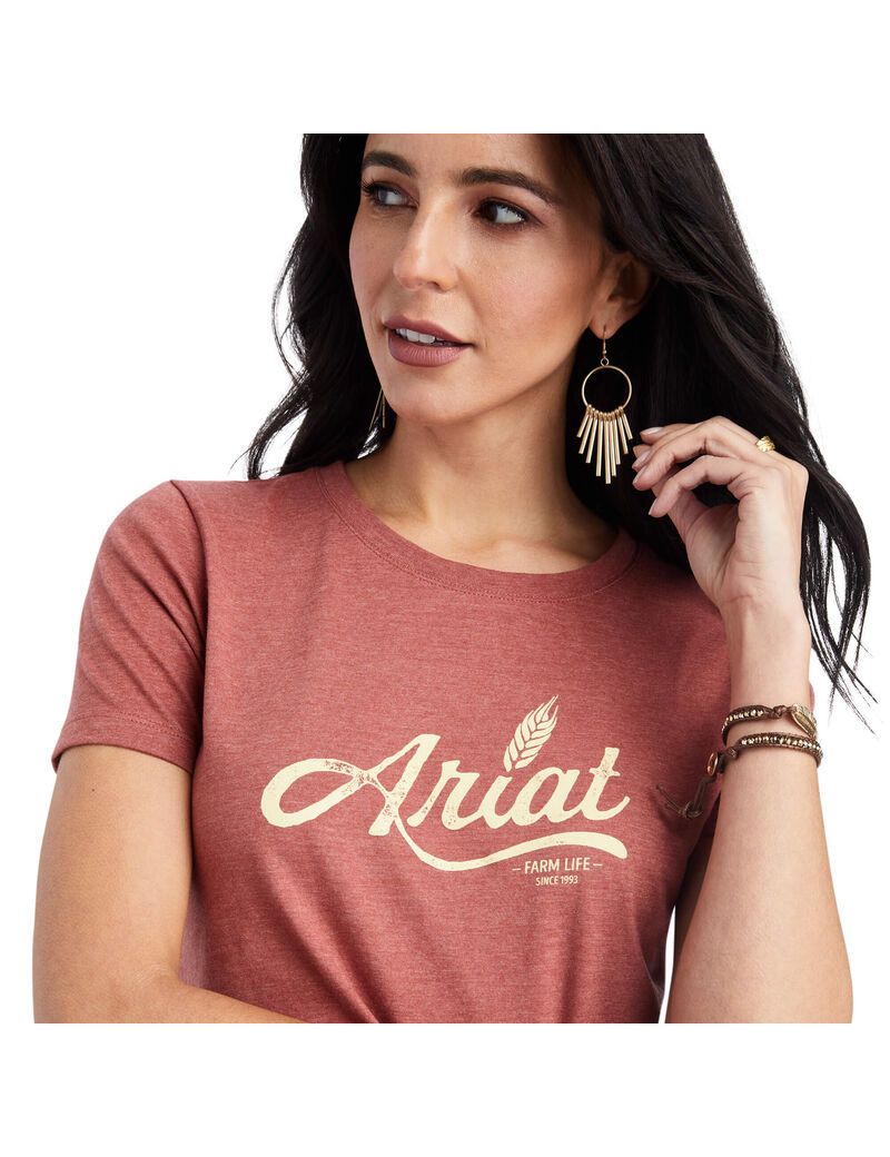 Hauts Ariat Wheat Script Tee Rouge | GNA-3943851