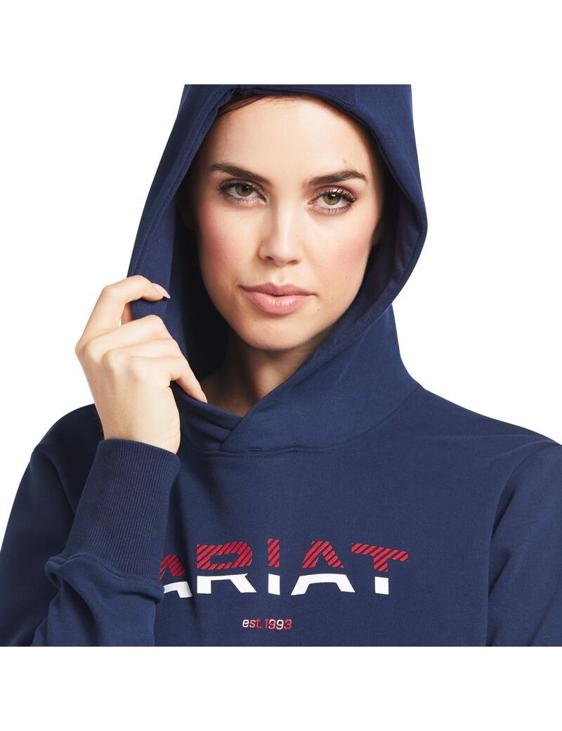 Sweat à Capuche Ariat 3D Logo 2.0 Bleu Marine | WYE-5808974