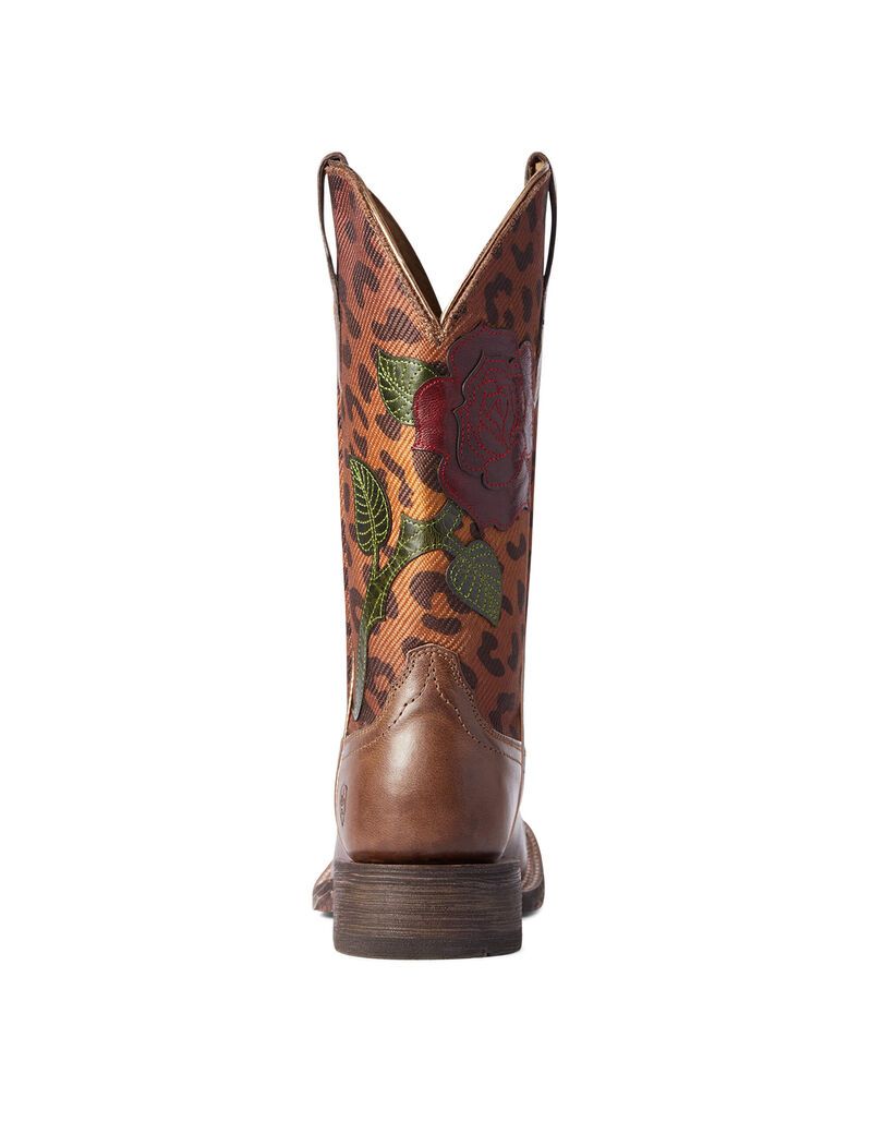 Bottes Western Ariat Circuit Rosa Multicolore | ZOC-3414732