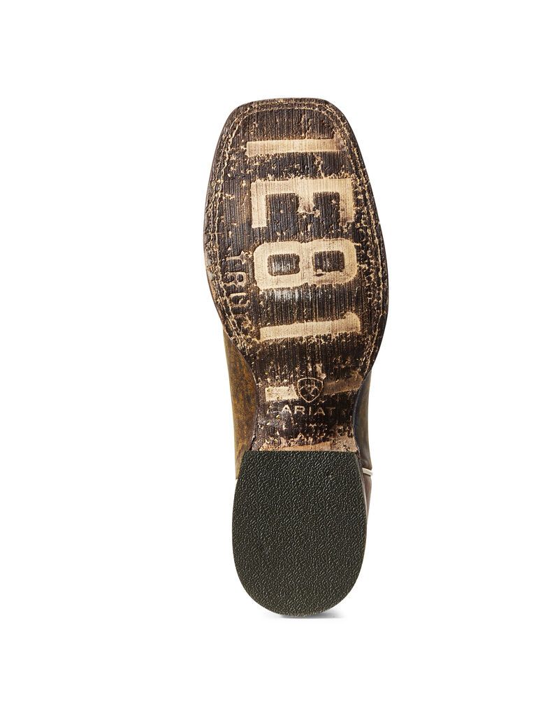 Bottes Western Ariat Circuit Champ Multicolore | IBG-3364057