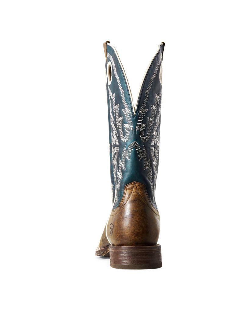 Bottes Western Ariat Circuit Champ Multicolore | IBG-3364057