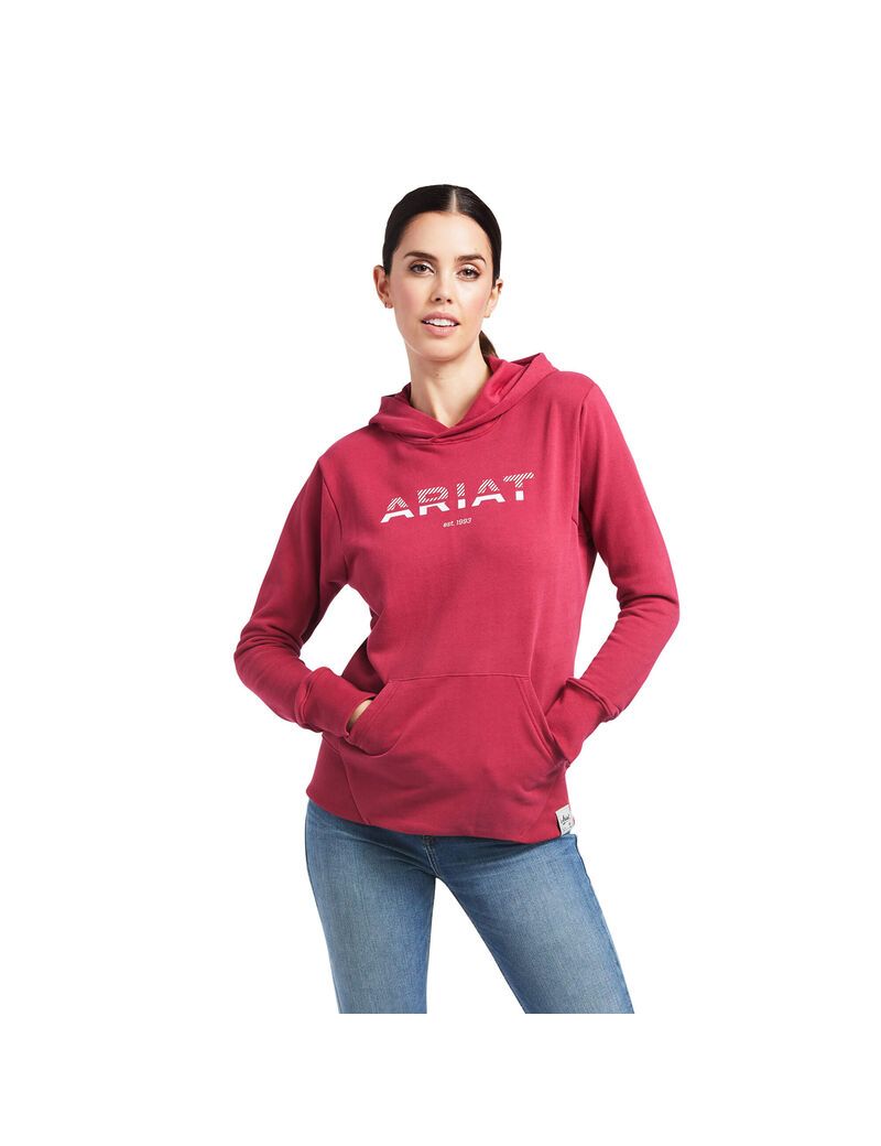 Sweat à Capuche Ariat 3D Logo 2.0 Rouge | MNP-0235143